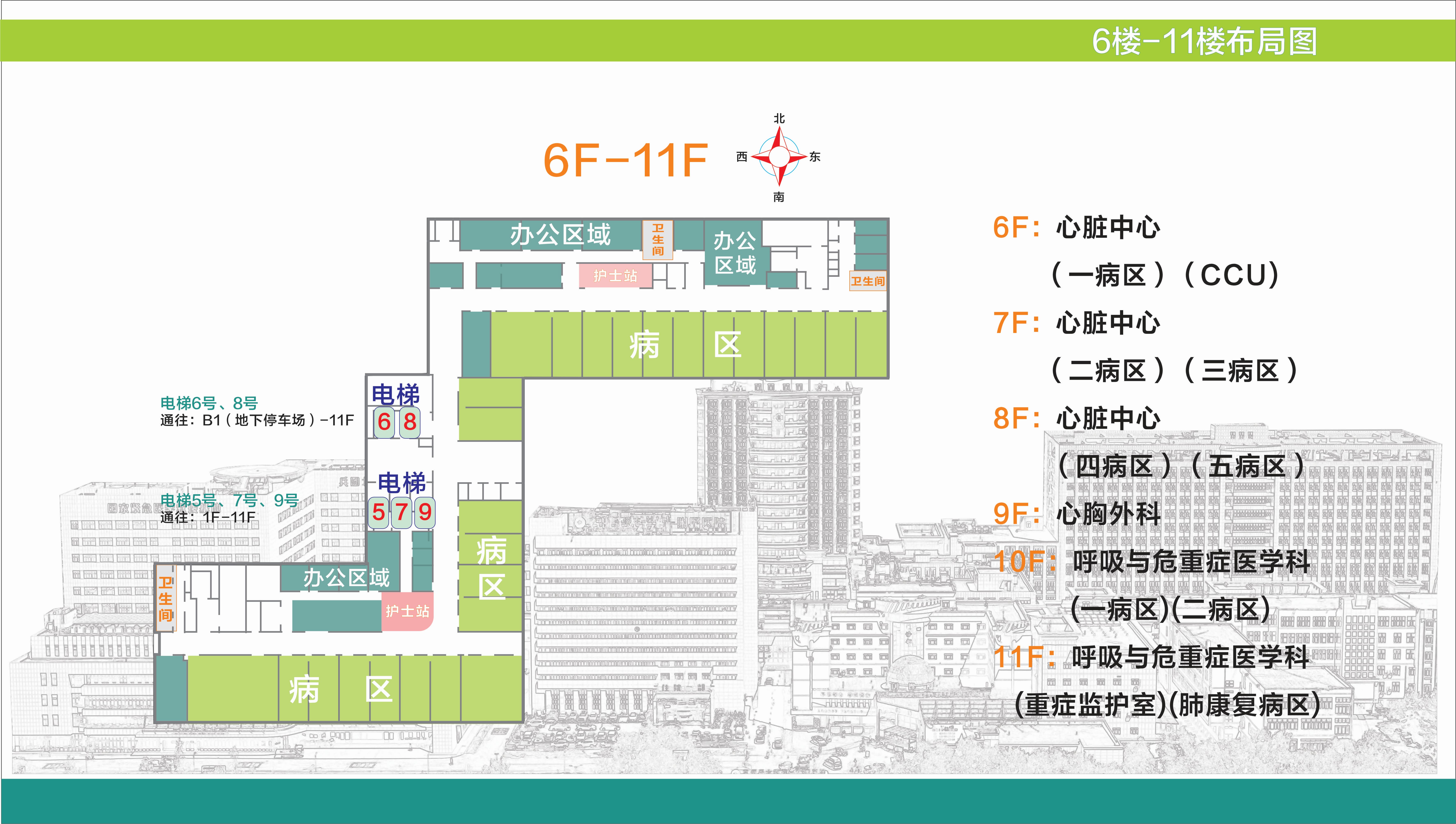 门诊大屏用转曲11.jpg