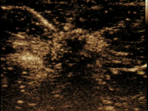 34b4f486e9c99900.png 34b4f486e9c99900.png