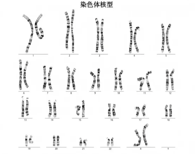图片1.png 图片1.png