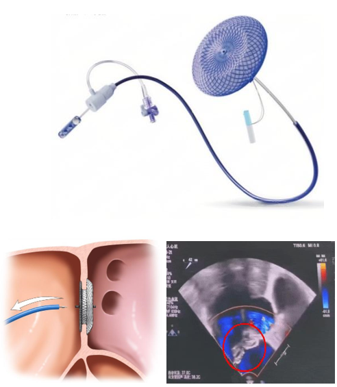 ScreenShot_2026-08-21_172828_661.png ScreenShot_2026-08-21_172828_661.png
