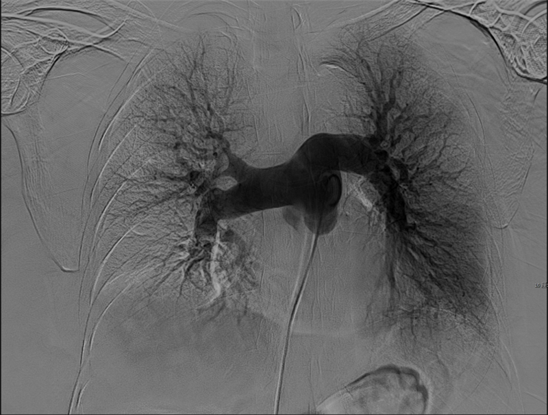 a804194c8c827a27.png a804194c8c827a27.png